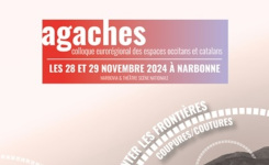 Agaches