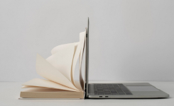 Lexic formas flechidas