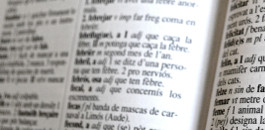 Basa lexicau monolingua