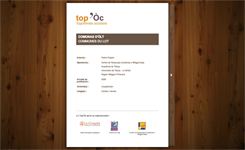 Diccionari toponimic occitan d'Ãlt