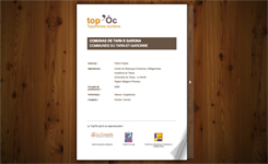 Diccionari toponimic occitan de Tarn e Garona