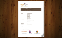 Diccionari toponimic occitan d'Ãlt e Garona